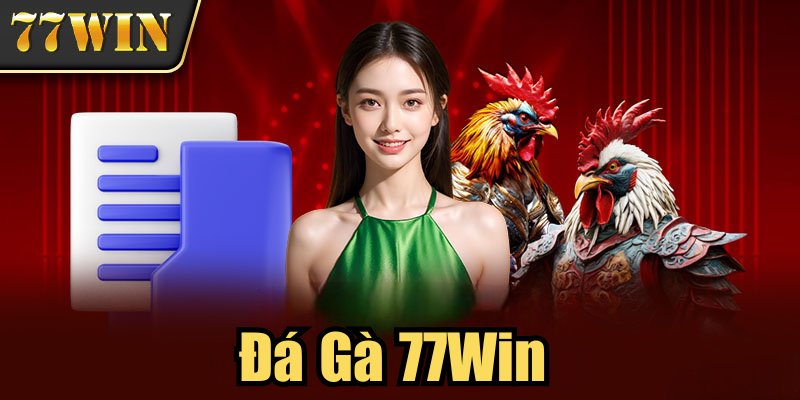 Dịch vụ cược chọi gà 77win hấp dẫn hàng triệu hội viên