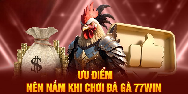 Ưu điểm nổi trội theo chuyên gia đánh giá về đá gà 77win