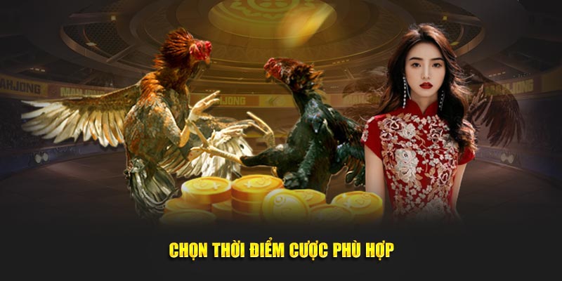 Chọn thời điểm cược phù hợp