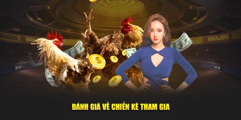 Đánh giá về chiến kê tham gia