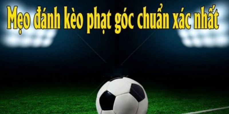 Kinh nghiệm soi kèo từ các cao thủ tại 77win