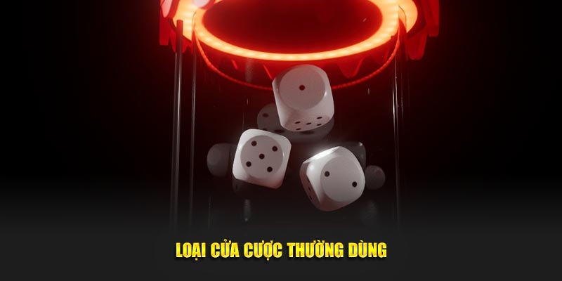 Loại cửa cược thường dùng