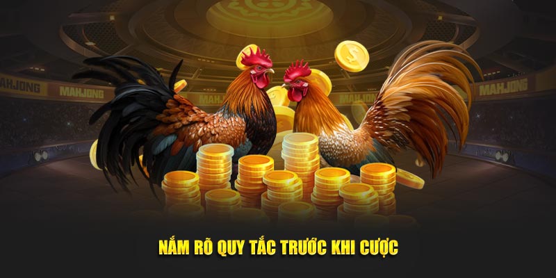 Nắm rõ quy tắc trước khi cược