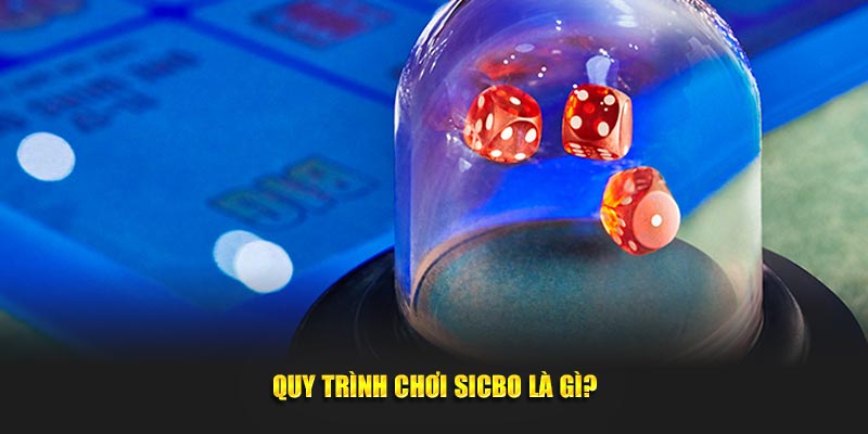 Quy trình chơi sicbo là gì?