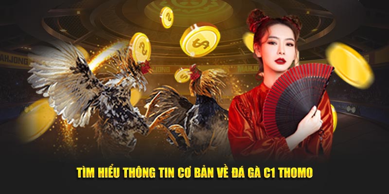 Tìm hiểu thông tin cơ bản về đá gà C1 Thomo